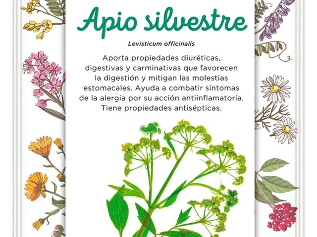 Apio silvestre Batlle