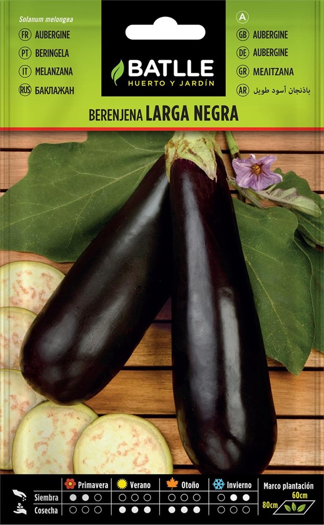 Foto 1 Berenjena Larga Negra