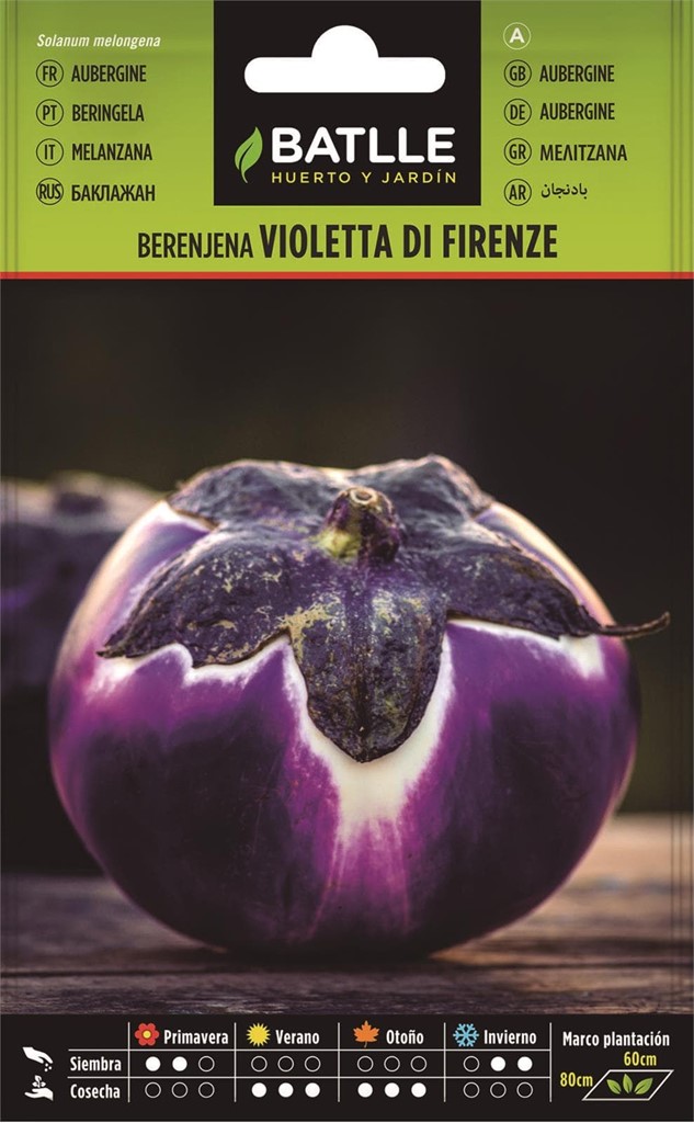 Foto 1 Berenjena Violetta di Firenze