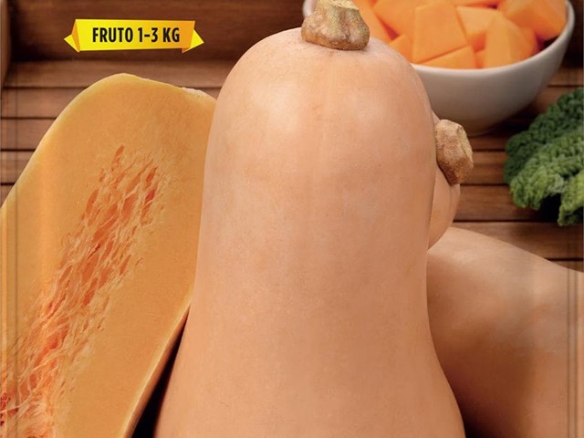 Calabaza Anquito-Butternut