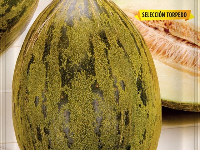 Melón Piel de Sapo Batlle